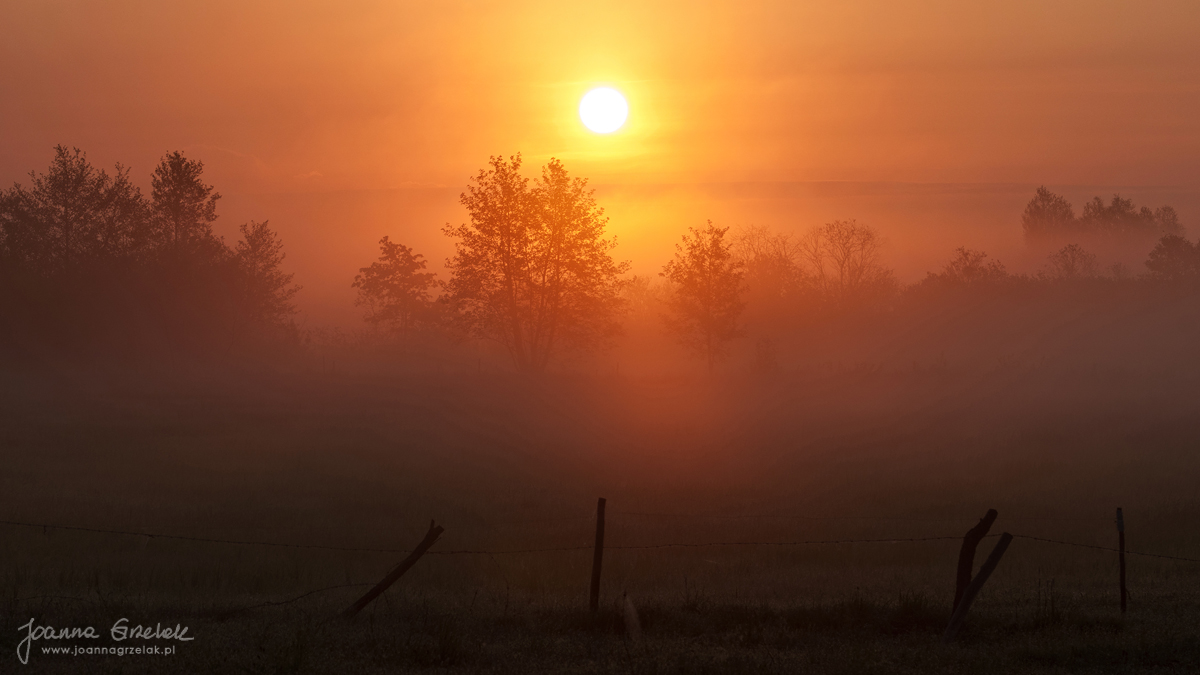 005_Biebrza - maj 2013.jpg
